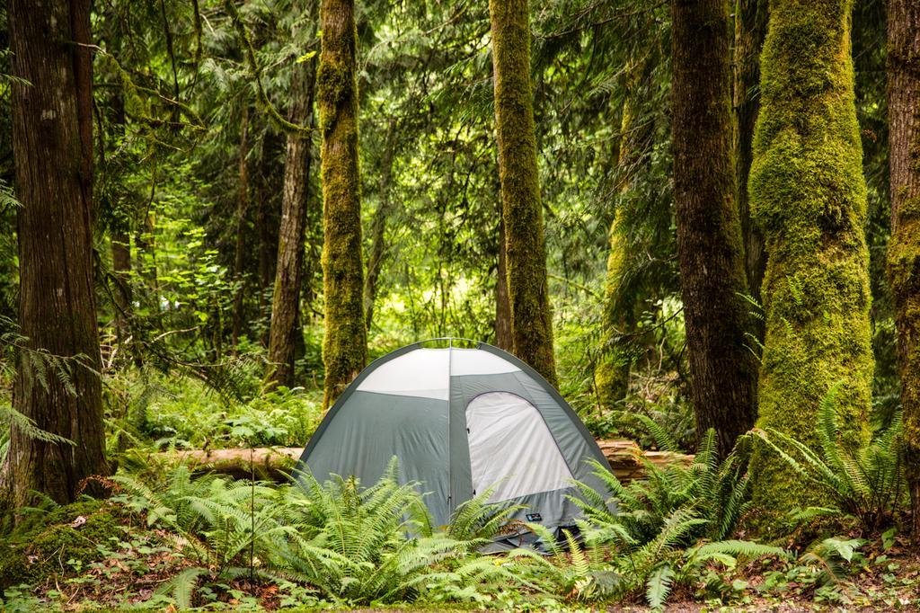 Mount Hood Village Yurt 1 Экстерьер фото